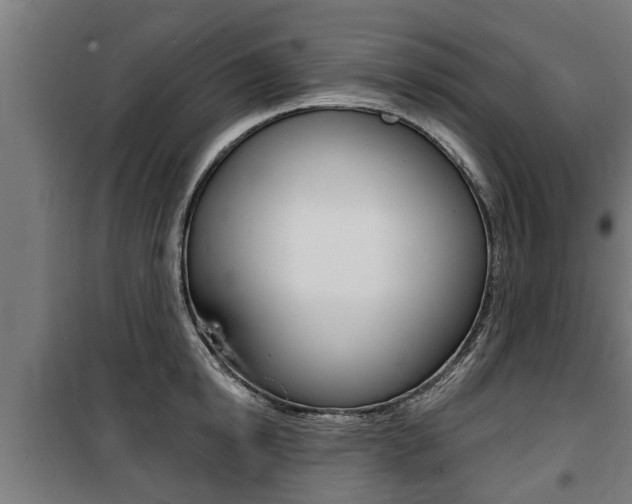 X0000100840854200806200736