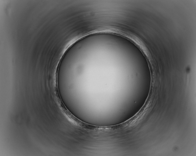 X0000100840858200806200737