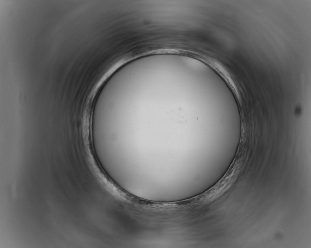 X0000100840859200806200737