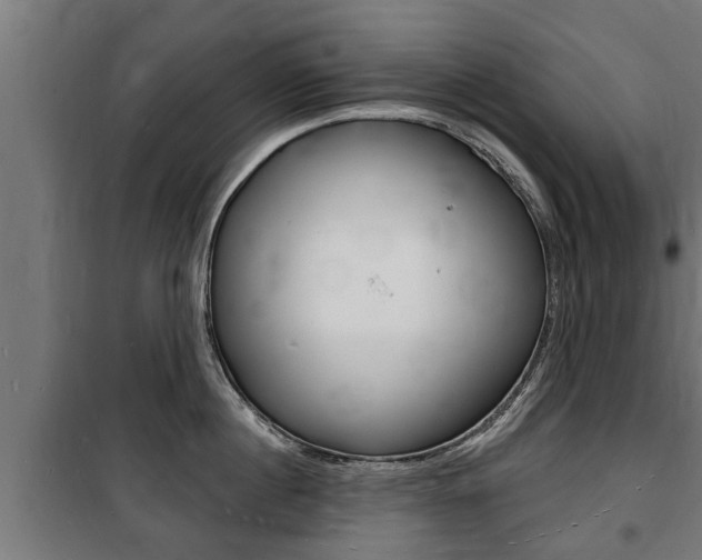 X0000100840860200806200737