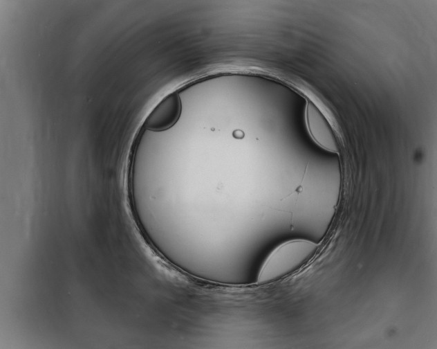 X0000100840861200806200737