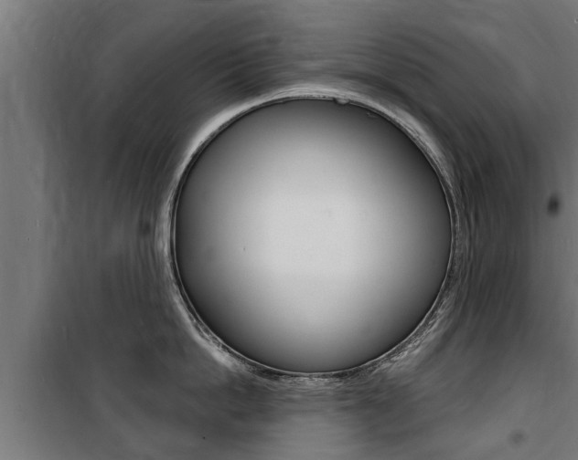 X0000100840862200806200737