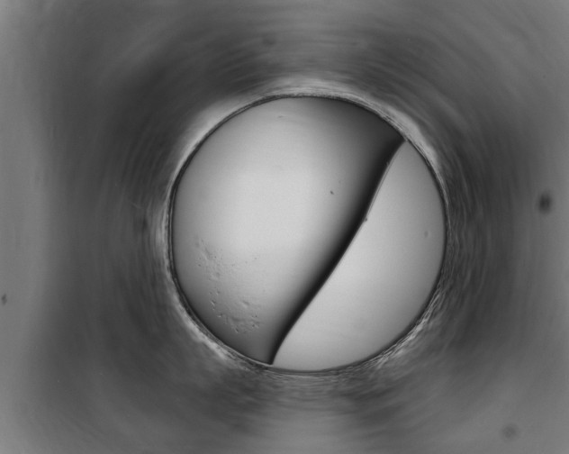 X0000100840863200806200737