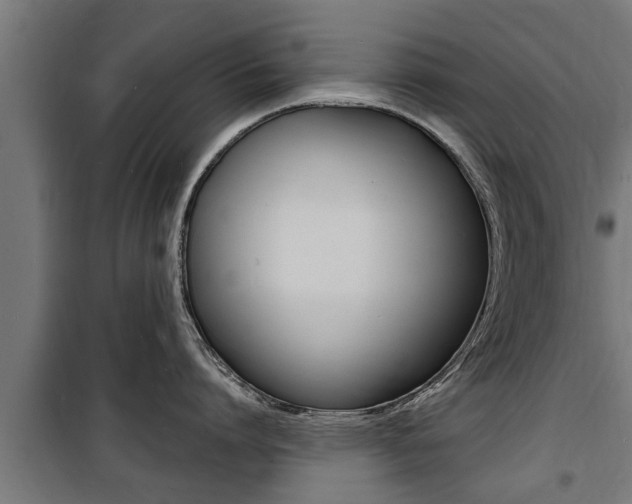 X0000100840864200806200737