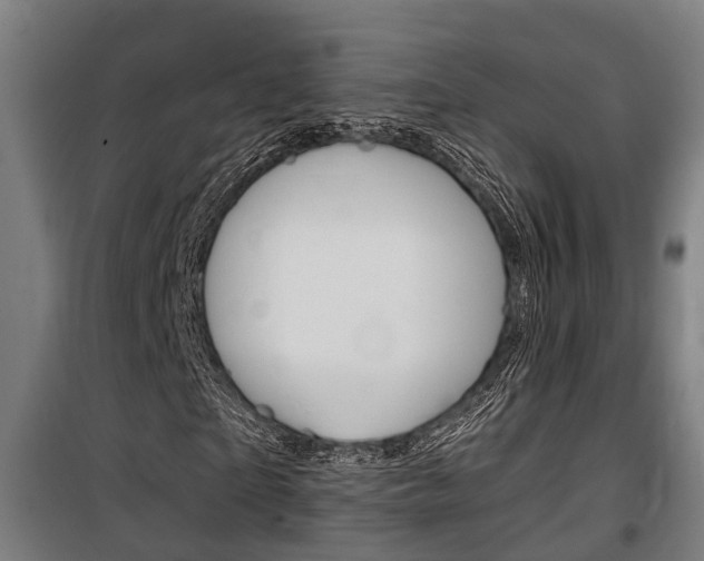 X0000100840865200806200736