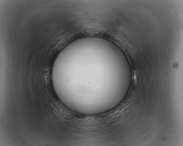 X0000100840867200806200736