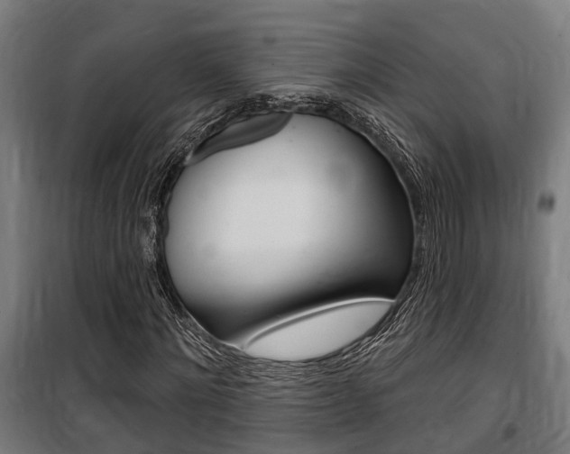 X0000100840868200806200736