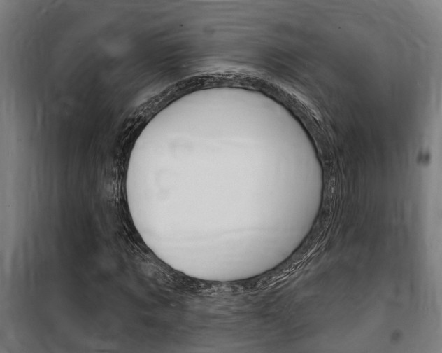 X0000100840869200806200736