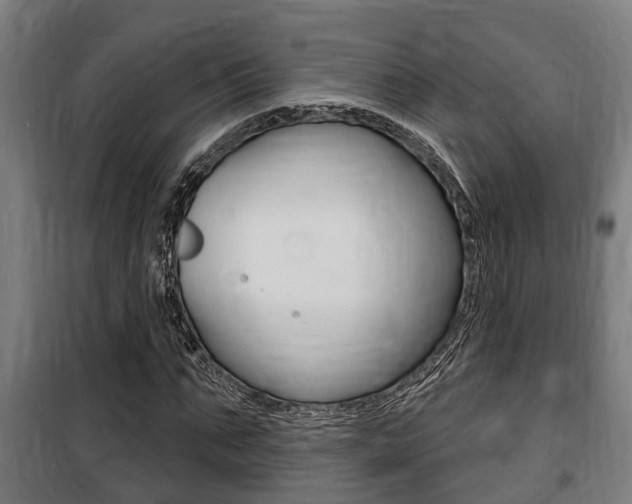 X0000100840871200806200736