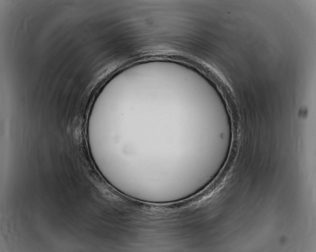 X0000100840873200806200736