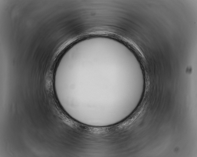 X0000100840874200806200736