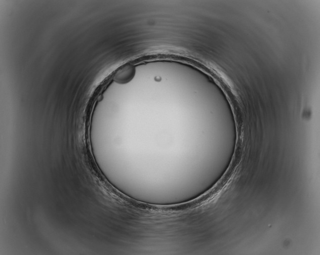 X0000100840877200806200736