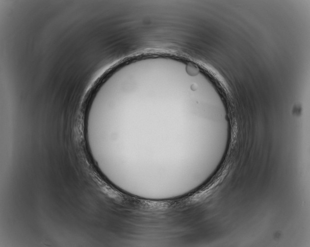 X0000100840878200806200736