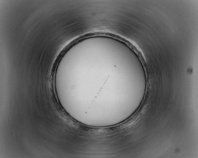 X0000100840879200806200736