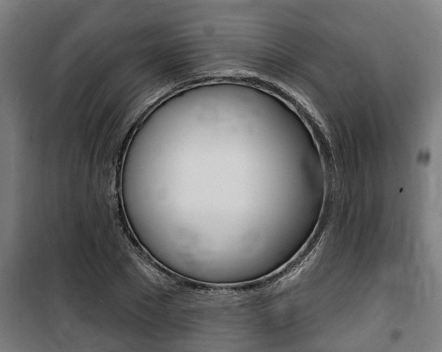 X0000100840881200806200736