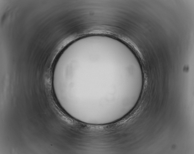 X0000100840882200806200736