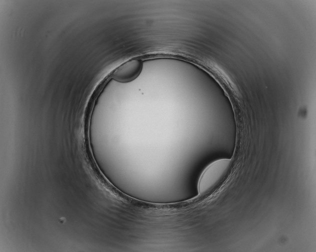 X0000100840884200806200736