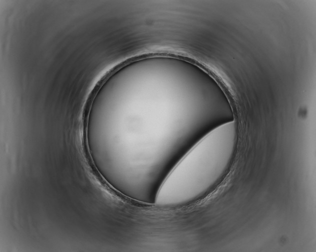 X0000100840888200806200735