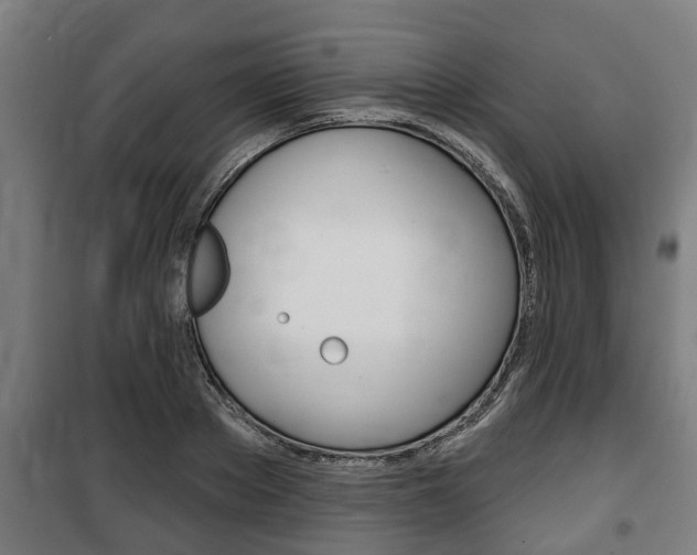 X0000100840889200806200735