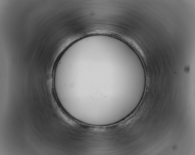 X0000100840890200806200735