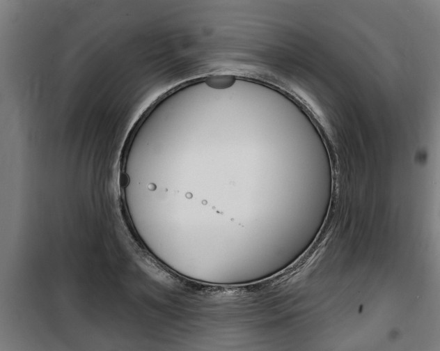 X0000100840891200806200735