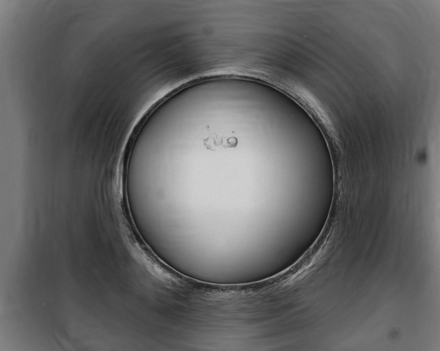 X0000100840892200806200735