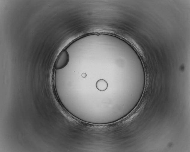 X0000100840893200806200735