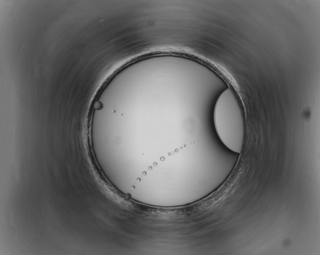 X0000100840895200806200735