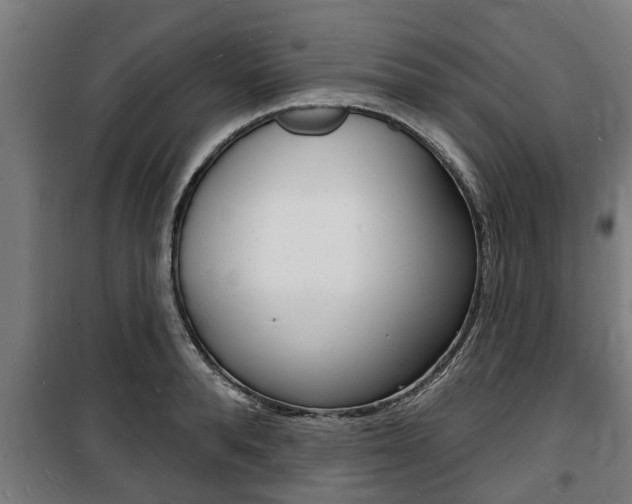 X0000100840896200806200735