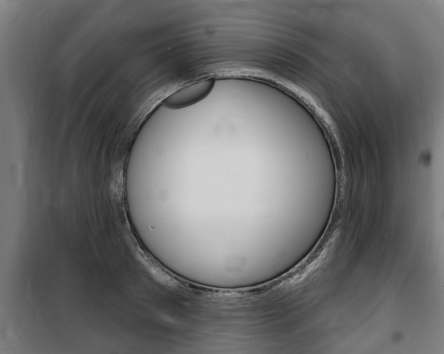 X0000100840897200806200735