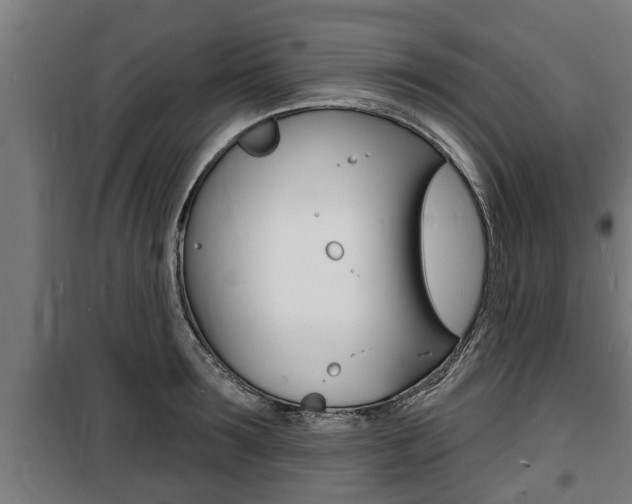 X0000100840899200806200735