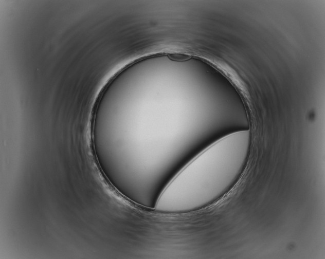 X0000100840904200806200735