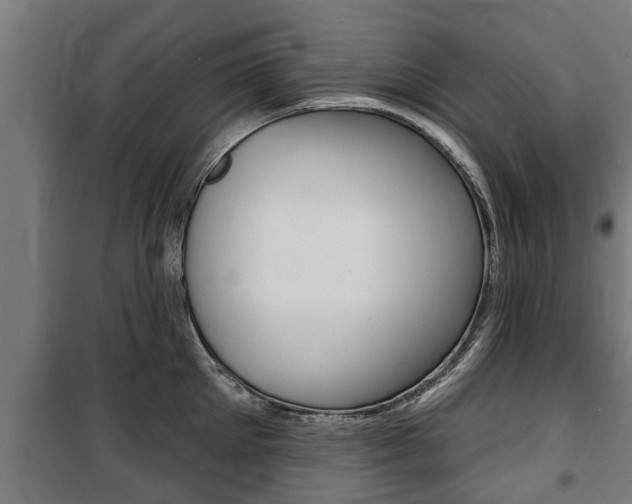 X0000100840905200806200735