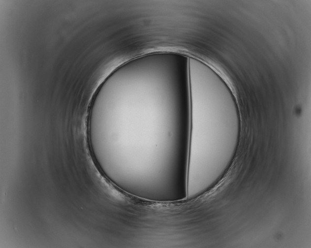 X0000100840906200806200735