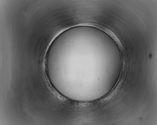 X0000100840908200806200735