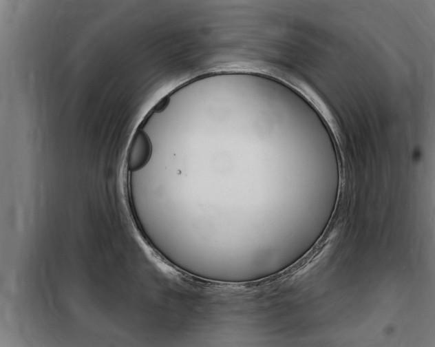 X0000100840909200806200735