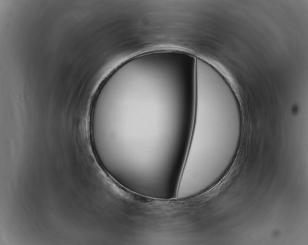 X0000100840910200806200735