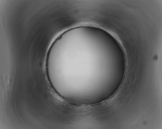 X0000100840912200806200735