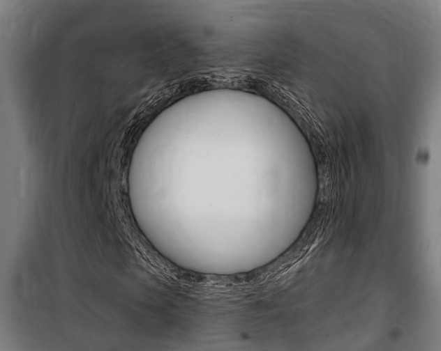 X0000100840913200806200734