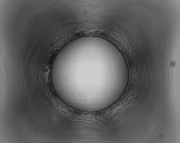 X0000100840914200806200734