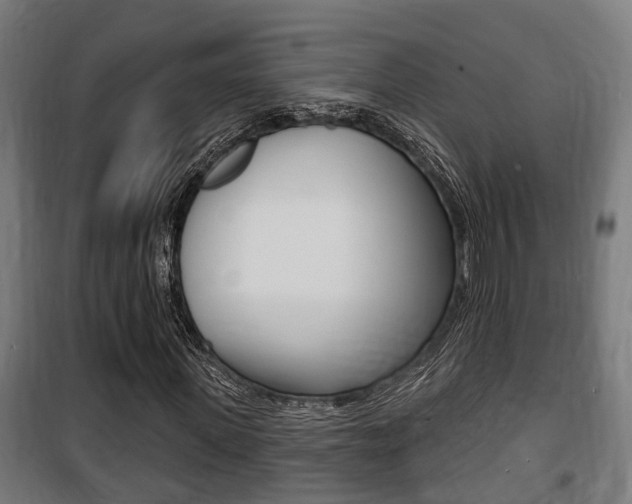 X0000100840915200806200734