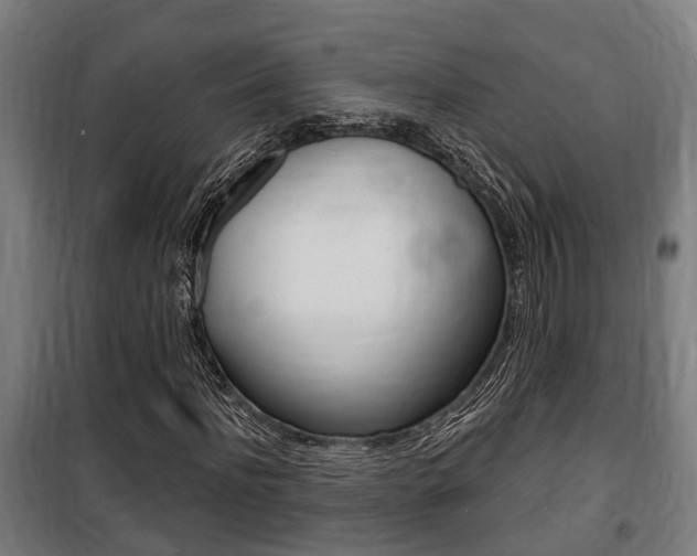 X0000100840916200806200734