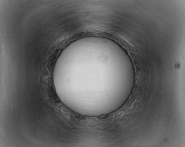 X0000100840917200806200734