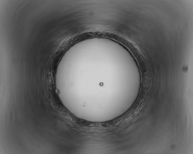 X0000100840918200806200734