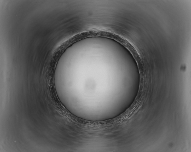 X0000100840919200806200734