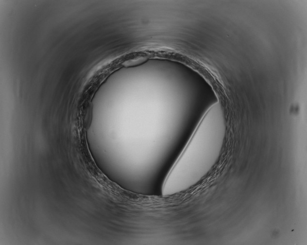 X0000100840920200806200734