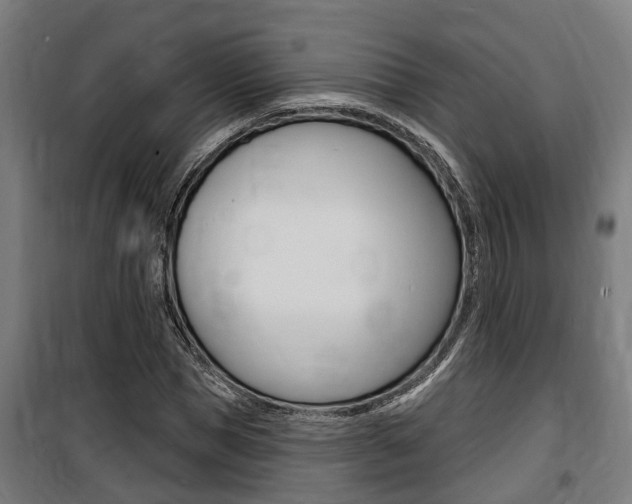 X0000100840921200806200734