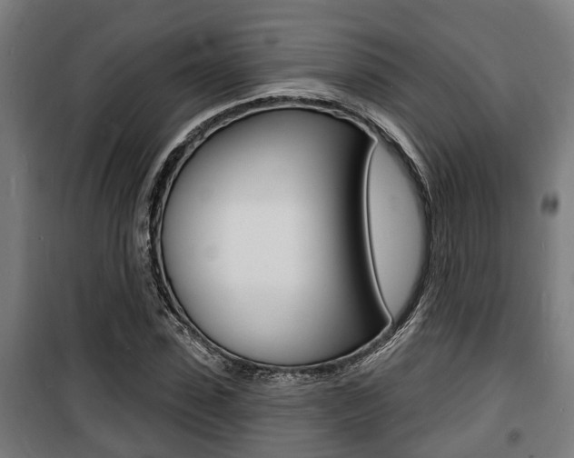 X0000100840923200806200734