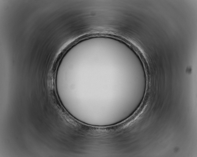 X0000100840925200806200734