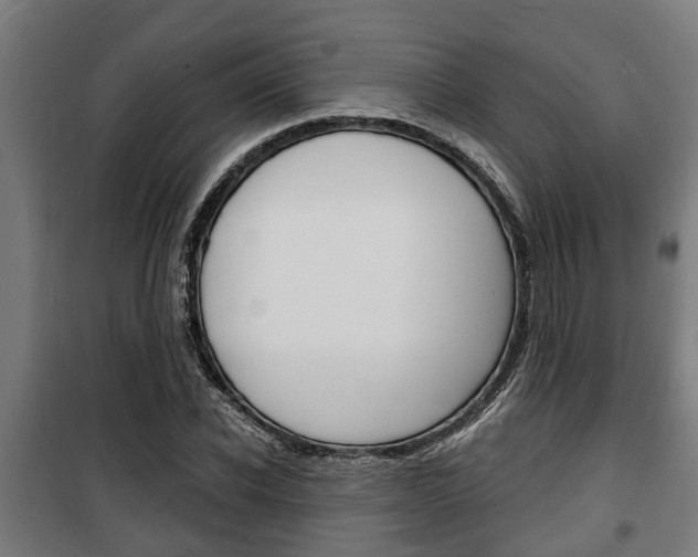 X0000100840926200806200734